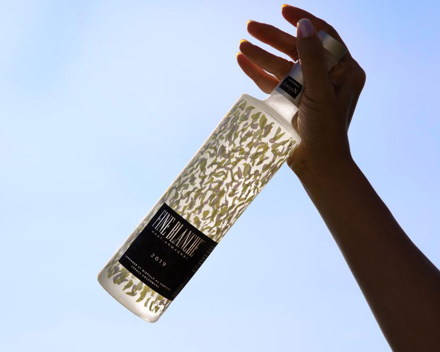 Chateau Arton Fine Blanche d'Armagnac 