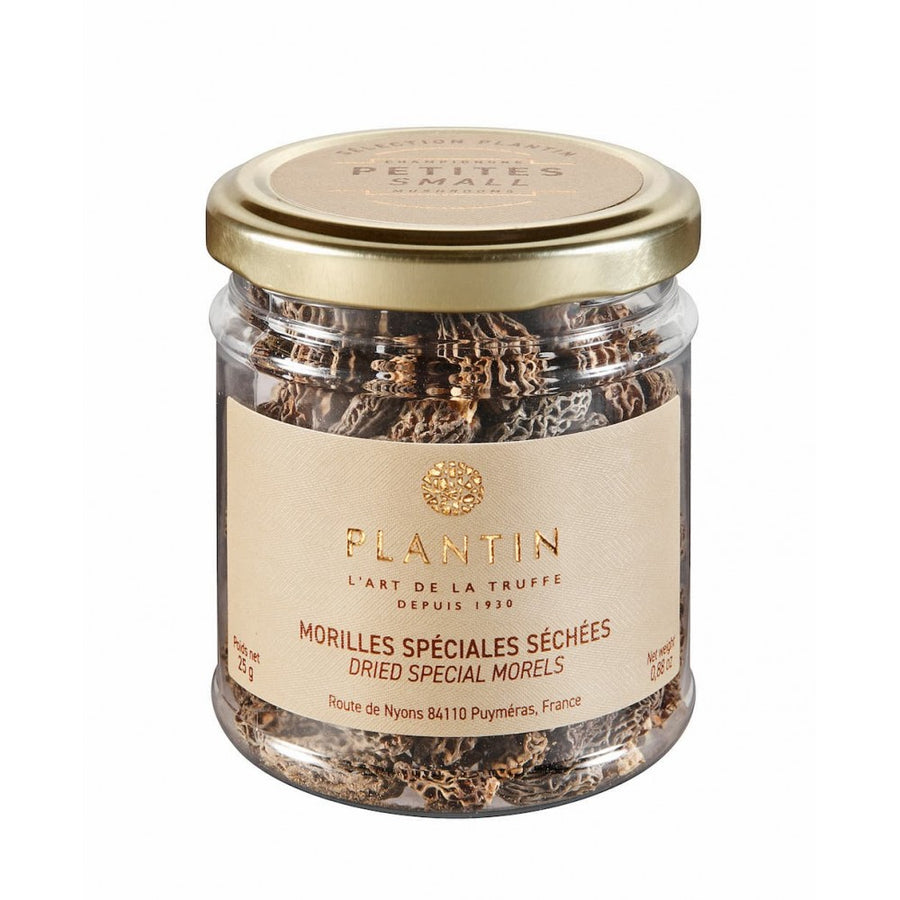 Plantin Morilles séchées Extra, 25 gr