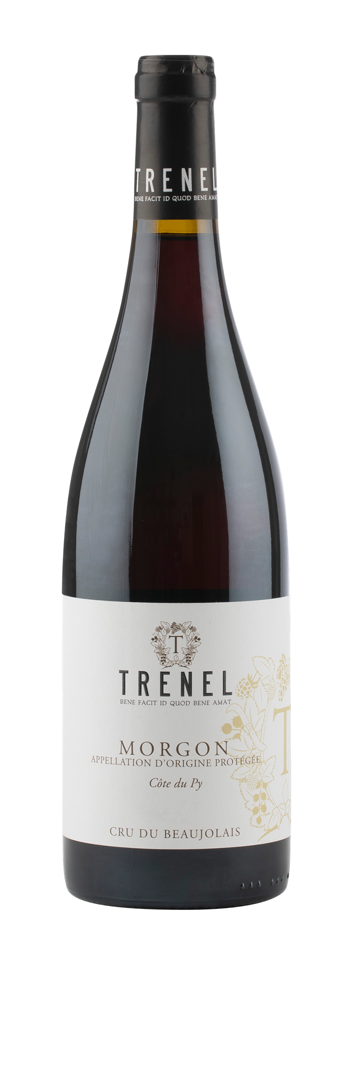Maison Trenel Morgon Rouge Côte du Py 2023 Cru du Beaujolais 75 cl
