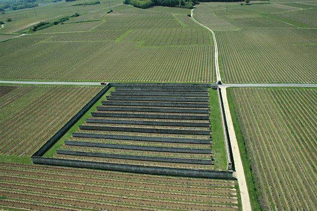 Clos d'entre les murs Saumur Blanc Chateau de Parnay