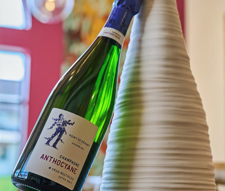Champagne Anthocyane Point de Départ Extra-Brut 75 cl