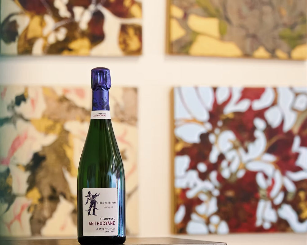 Champagne Anthocyane Point de Départ Extra-Brut 75 cl