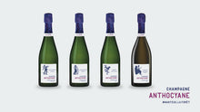 Load image into Gallery viewer, Champagne Anthocyane Cohérence Blanc de Noirs Solera Premier Cru, 75 cl