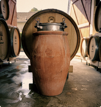 Charger l'image dans la galerie, Agrapart Avize AMPHORA Blanc de Blancs Grand Cru 2021, 75 cl